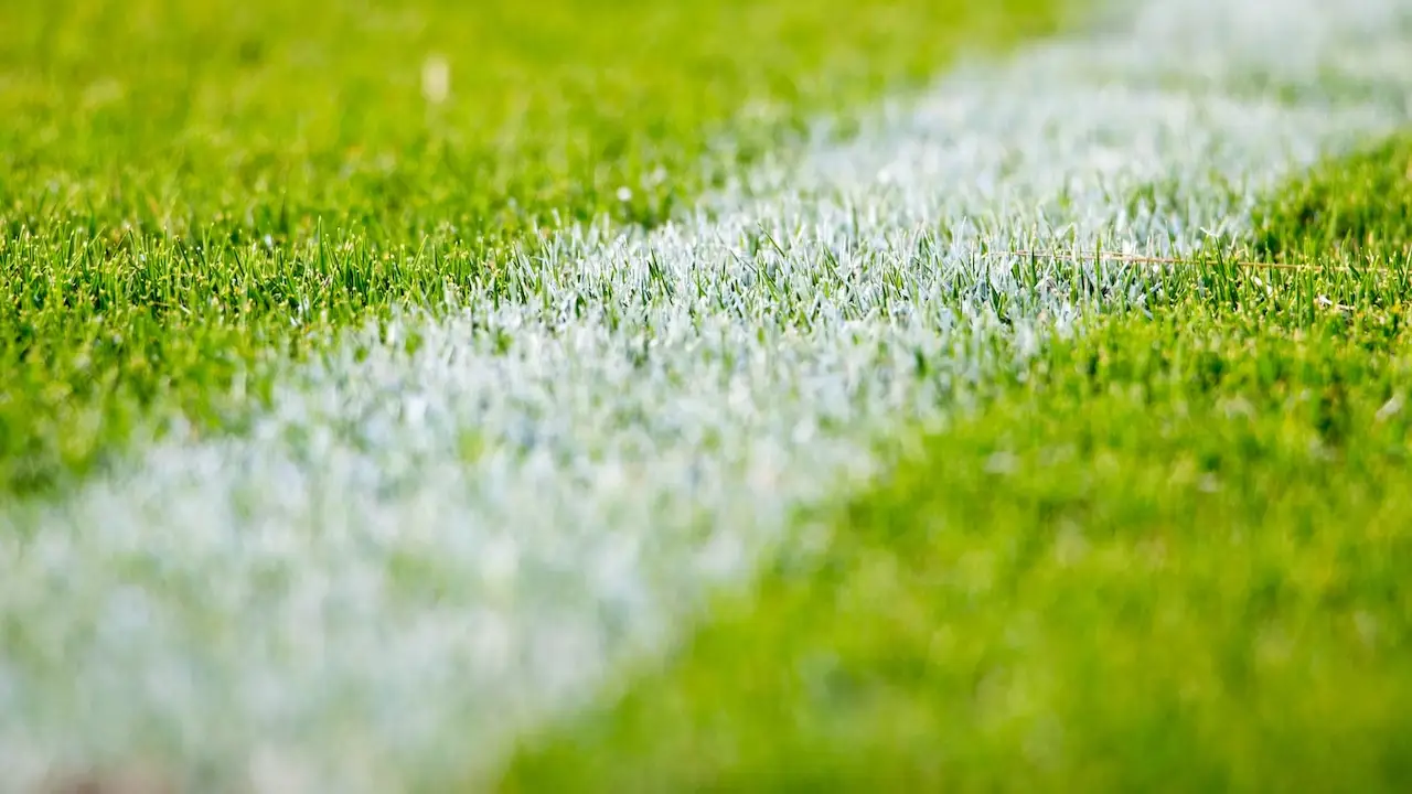 UEFA Şampiyonlar Ligi grupları belli oldu