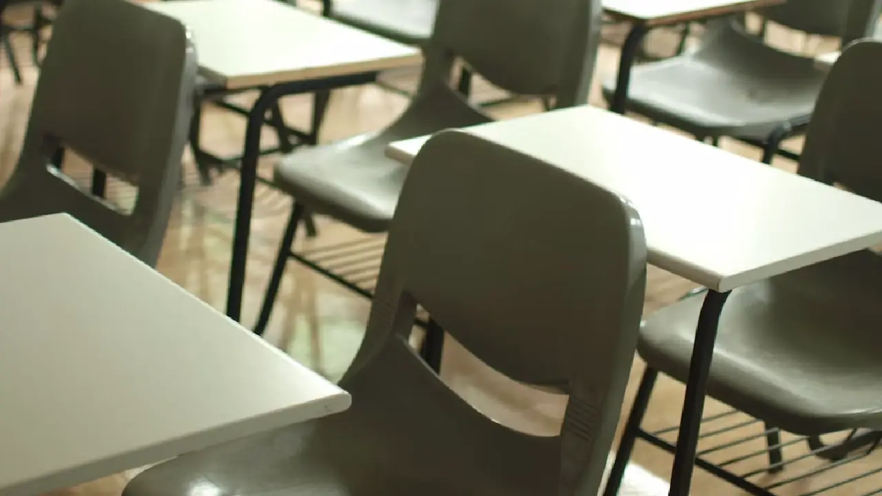 Fransa'da okullardaki abaya yasağı Danıştaya taşındı