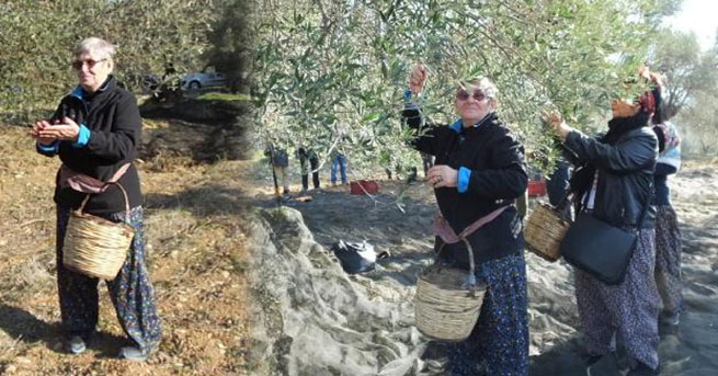 Prof. Karatay kahvaltıda 70 zeytin yiyor