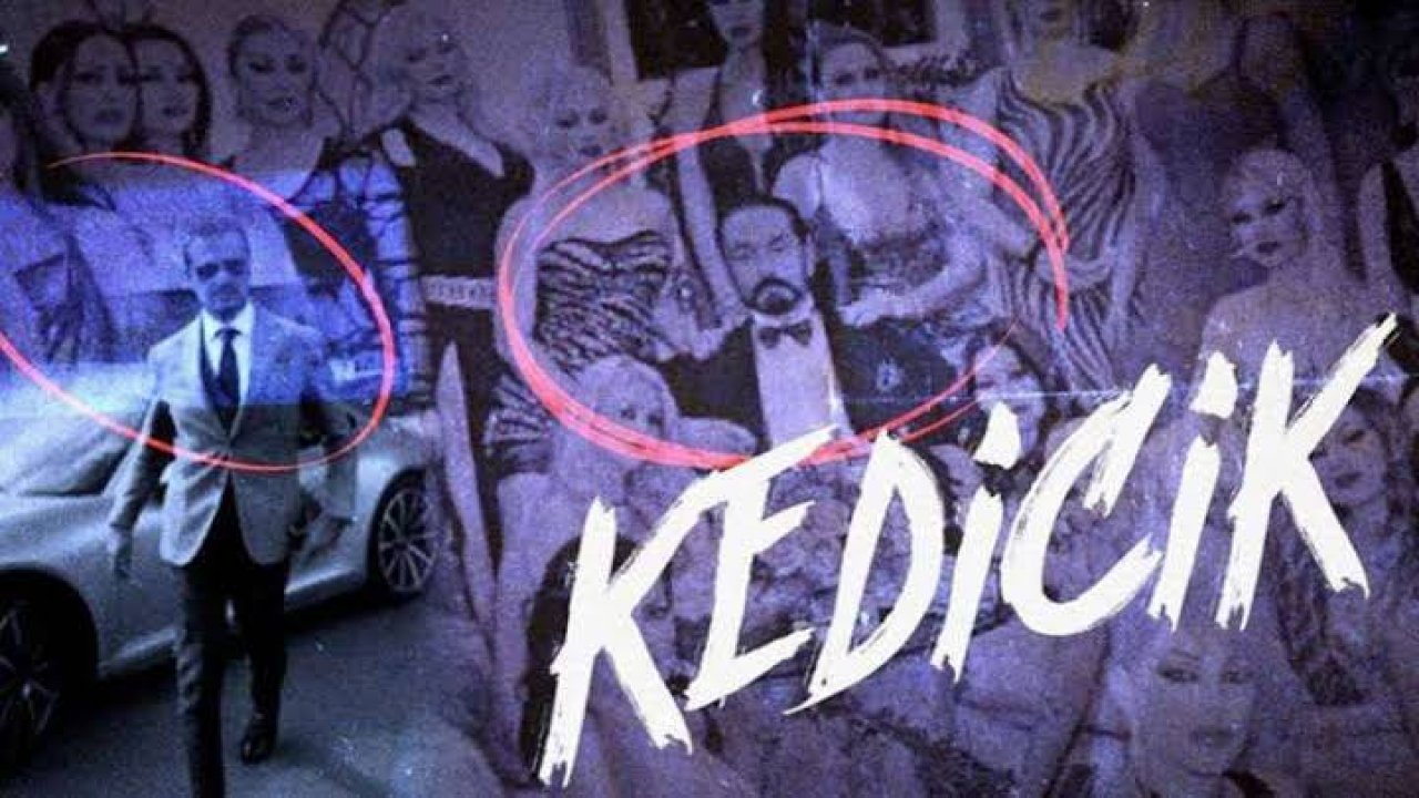 'Telif' engeline takılmıştı, sorun çözüldü! Kedicik belgeseli yeniden yayında!