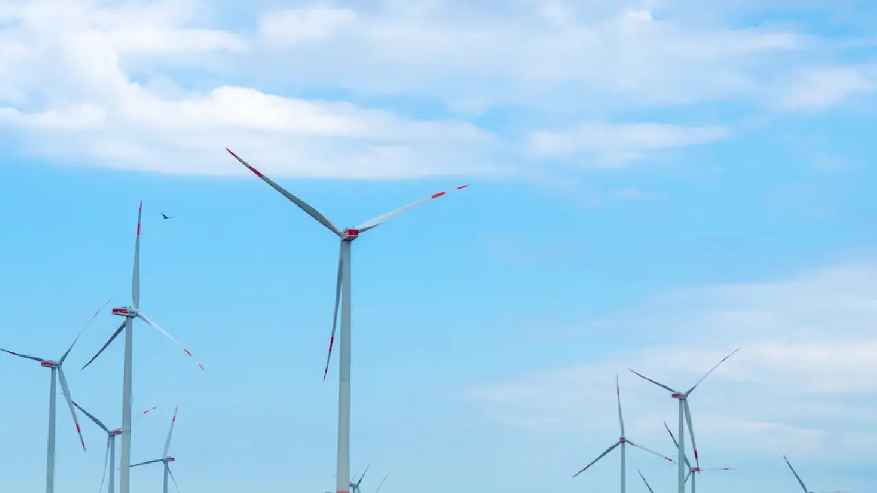 Alman rüzgar enerji devinden Türkiye hamlesi