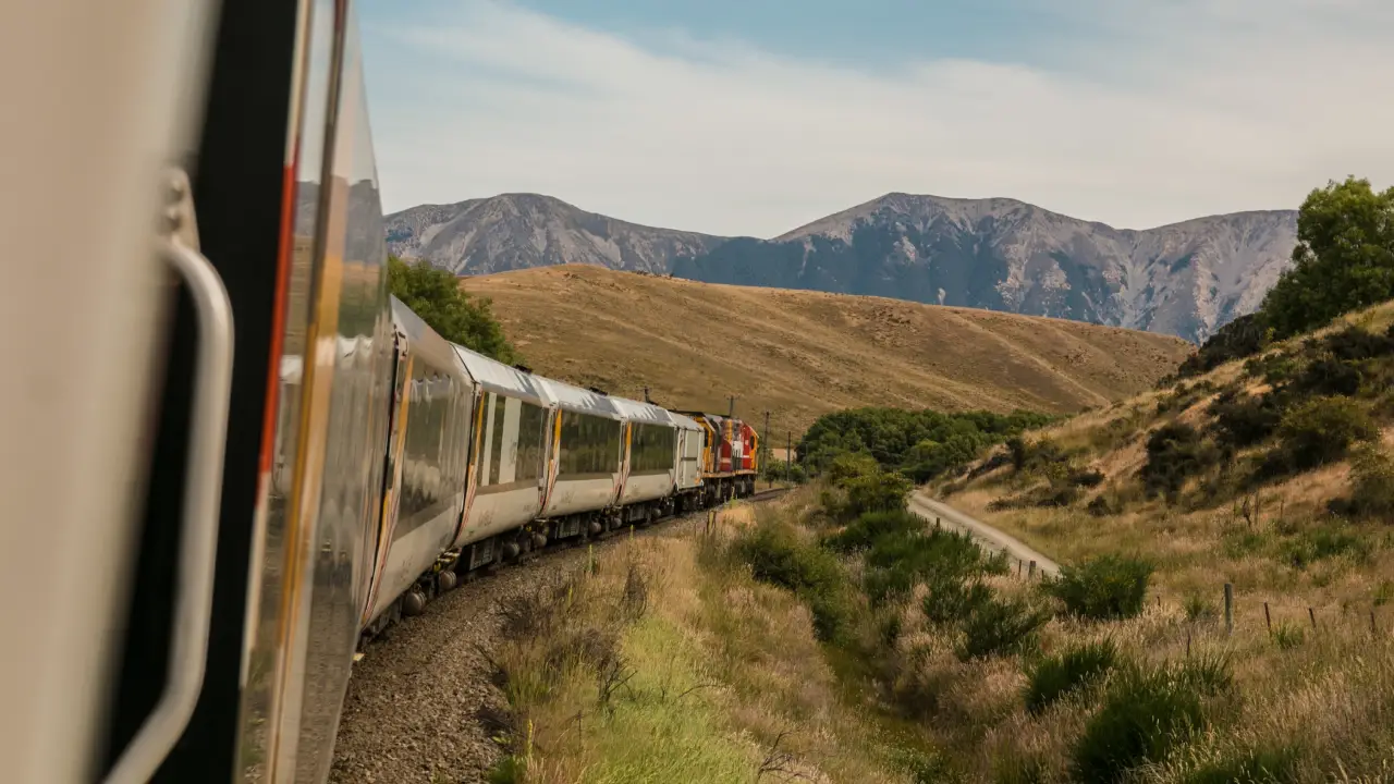 Almanya'da feci kaza... Tren atlara çarptı!
