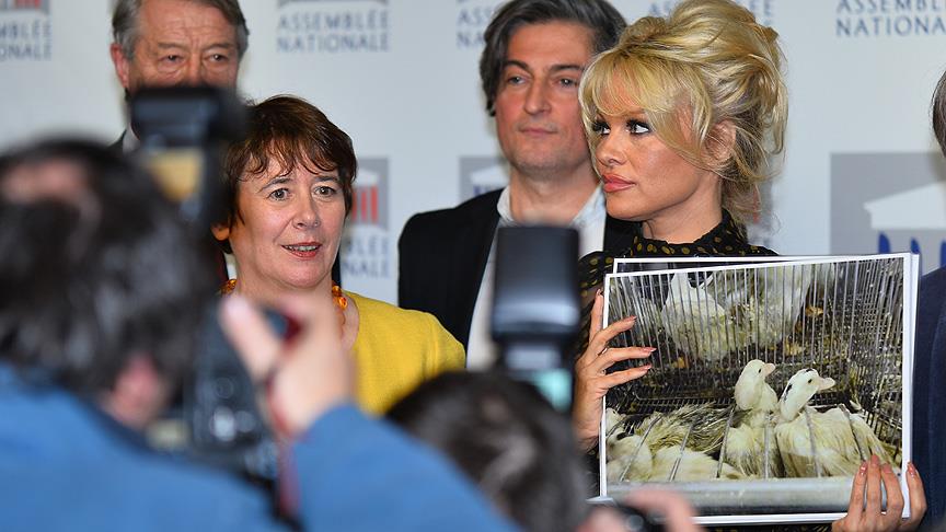 Pamela Anderson'dan Fransa'ya tepkisi