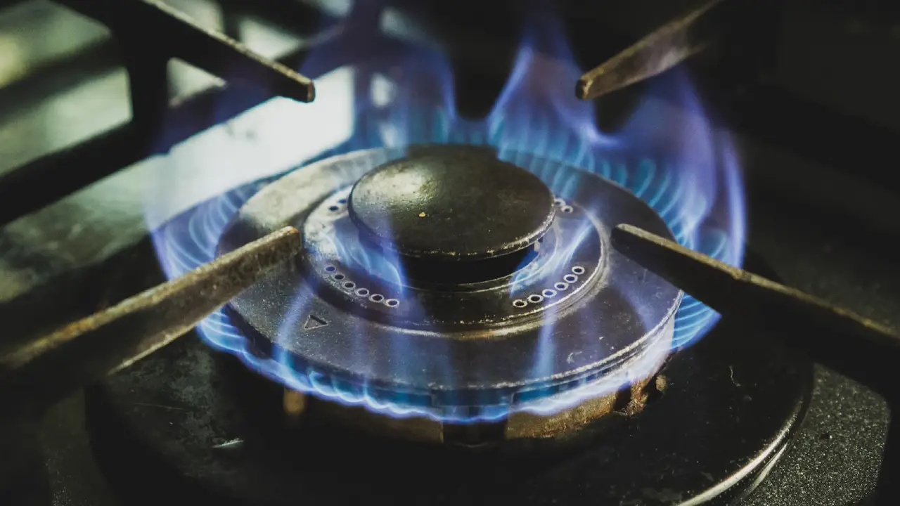 Almanlara gaz tasarrufu çağrısı