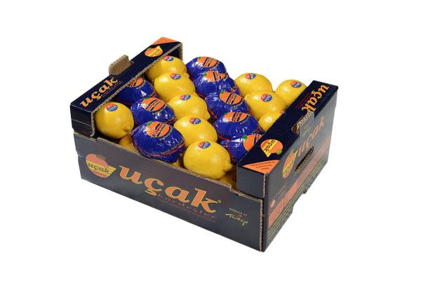 Rusya'ya 'uçak' logolu limon krizi