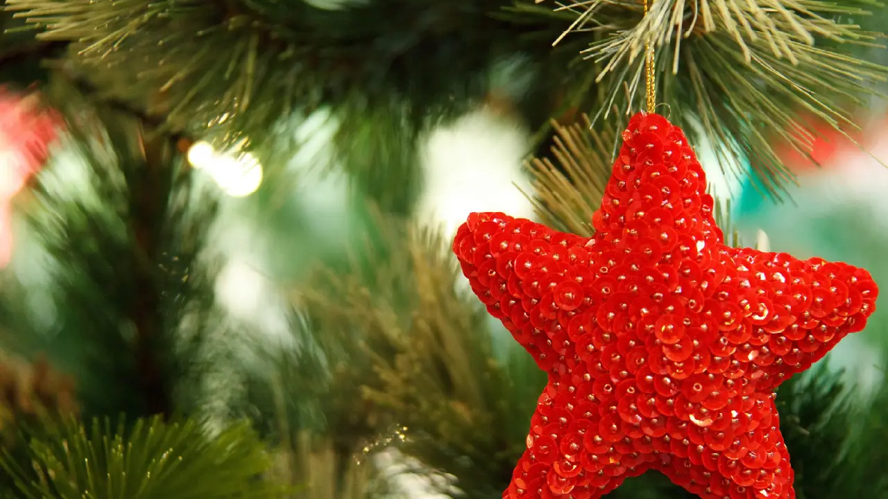 Noel ağacı bu yıl cep yakacak
