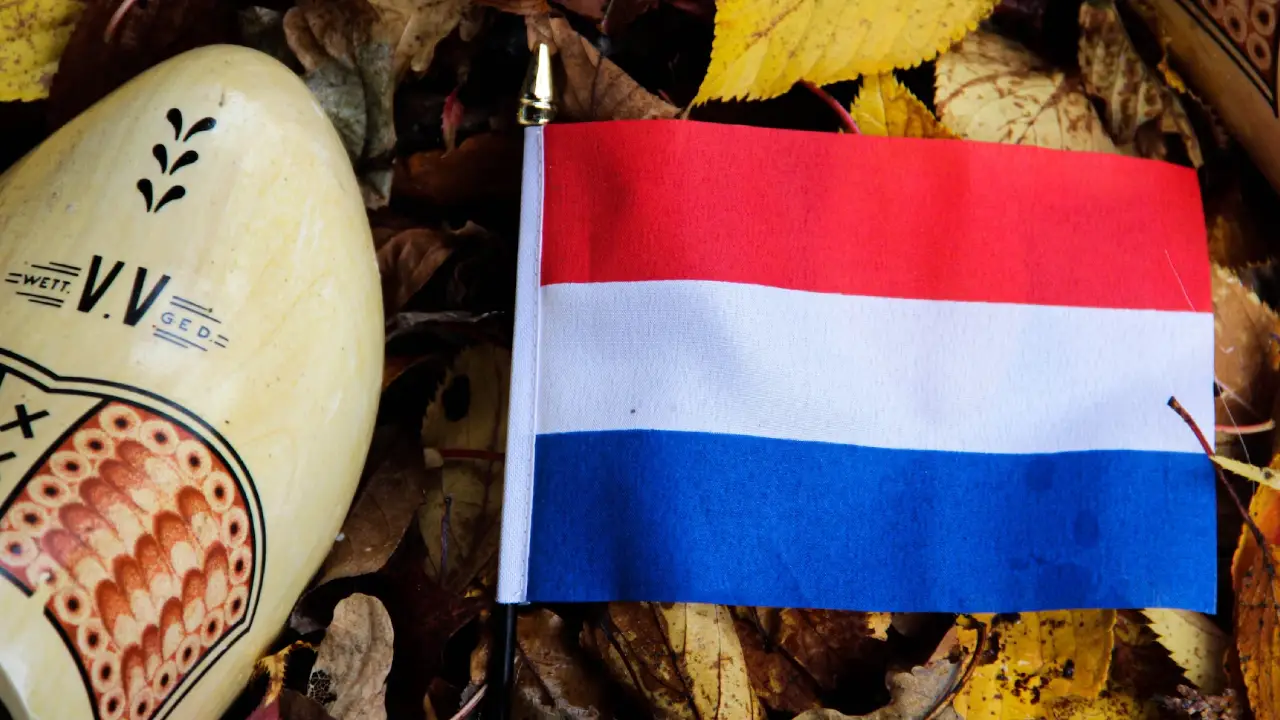 Hollanda'da Dilan Yeşilgöz seçimi kaybetti