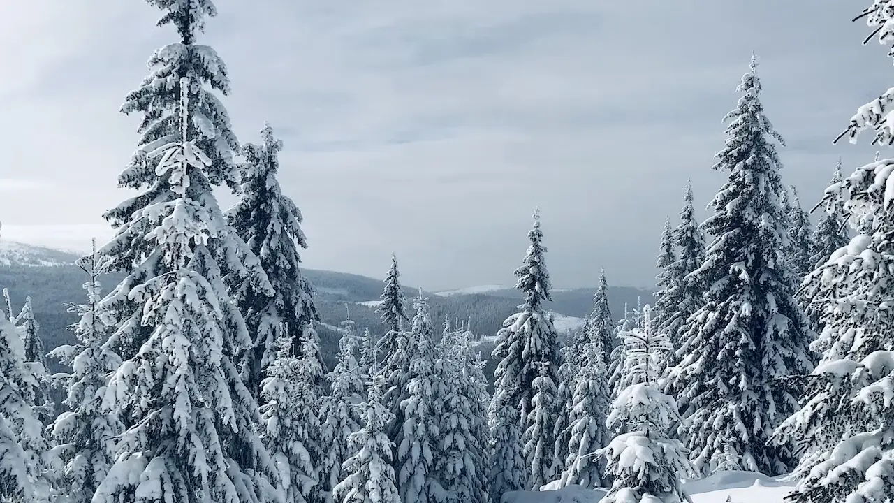 Almanya'da son 13 yılın en soğuk kışı