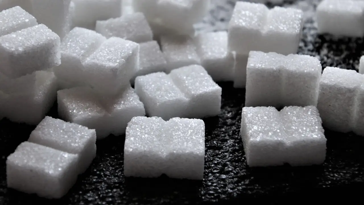 Her gün 1 kilogram şeker tüketirsek ne olur?