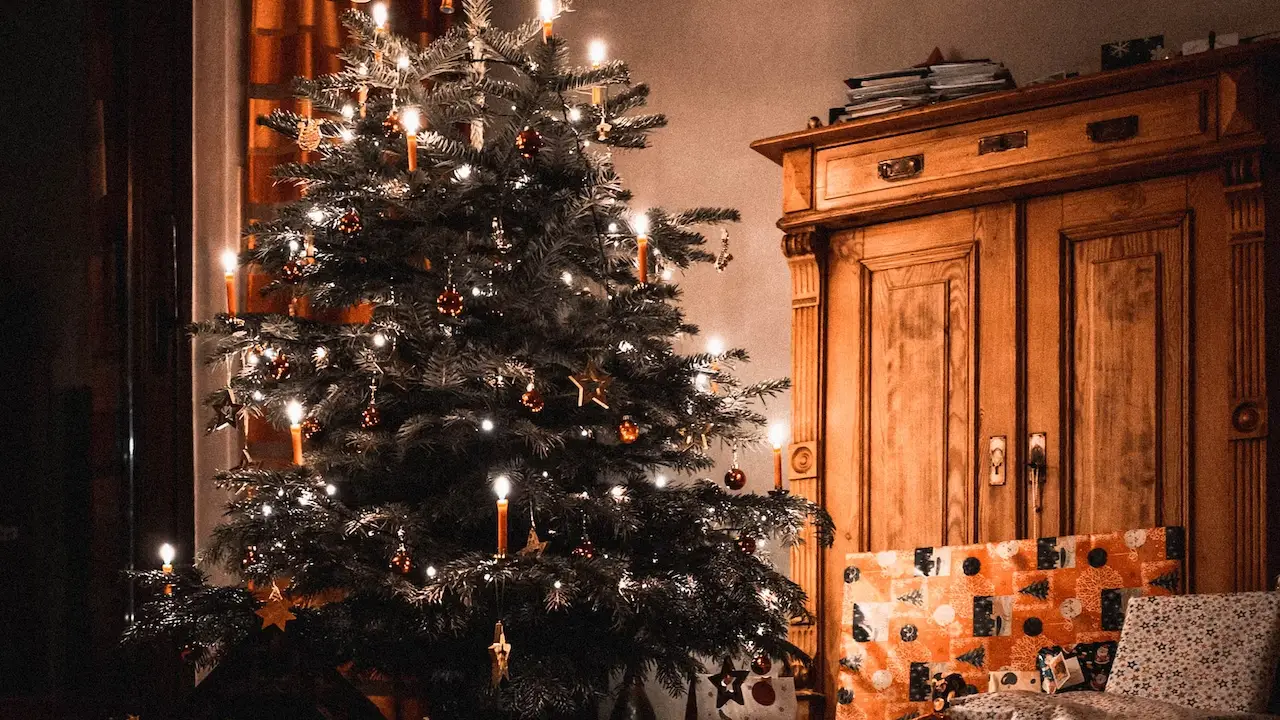 Noel ağacı nasıl gelenek haline geldi?