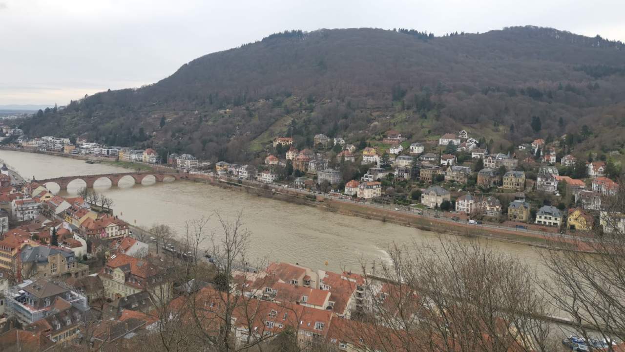 Almanya'nın Heidelberg kentinde yüksek alarm