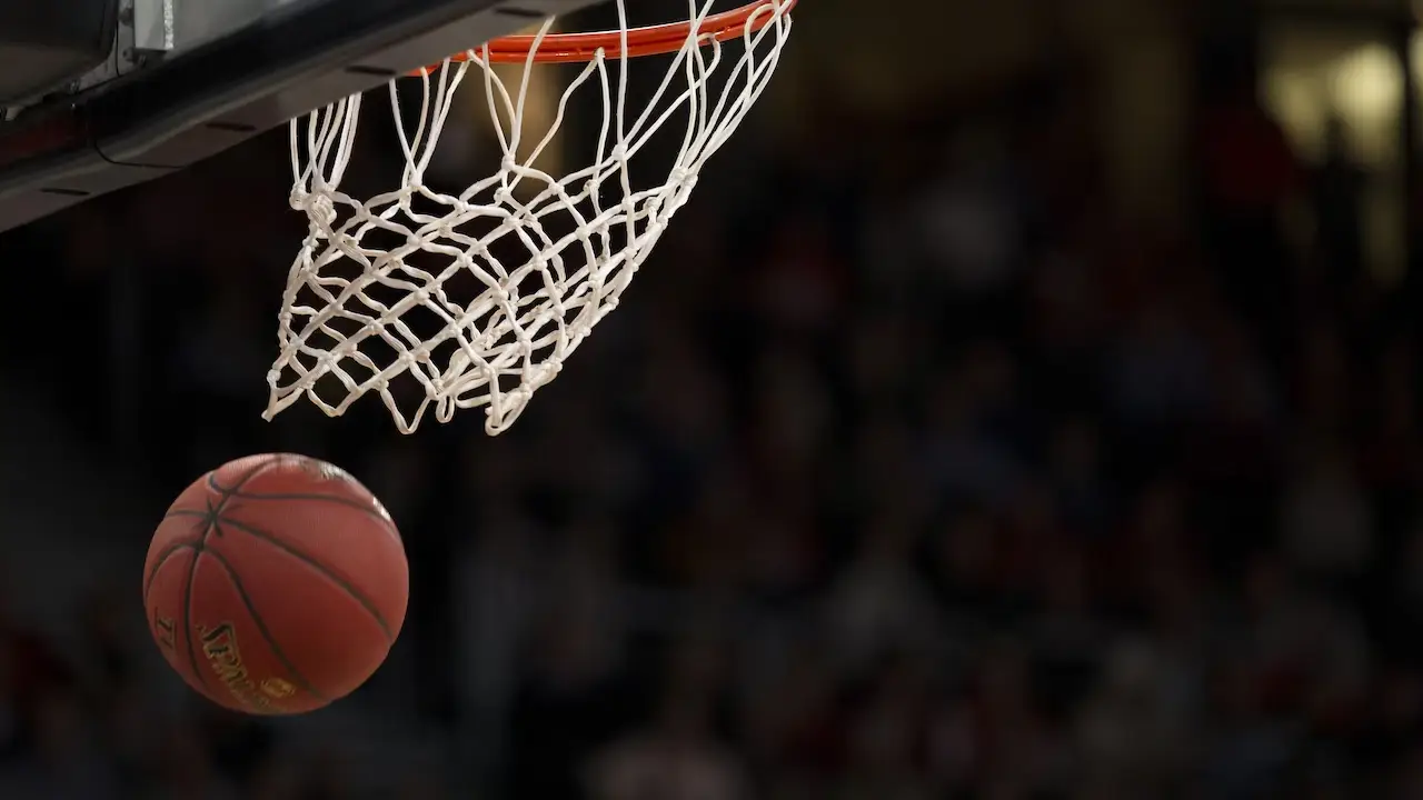 Türk Telekom, ABD'li basketbolcu Brown'ı renklerine bağladı