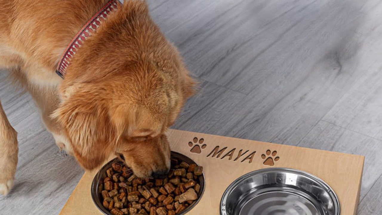 Köpek maması seçmenin tüyoları