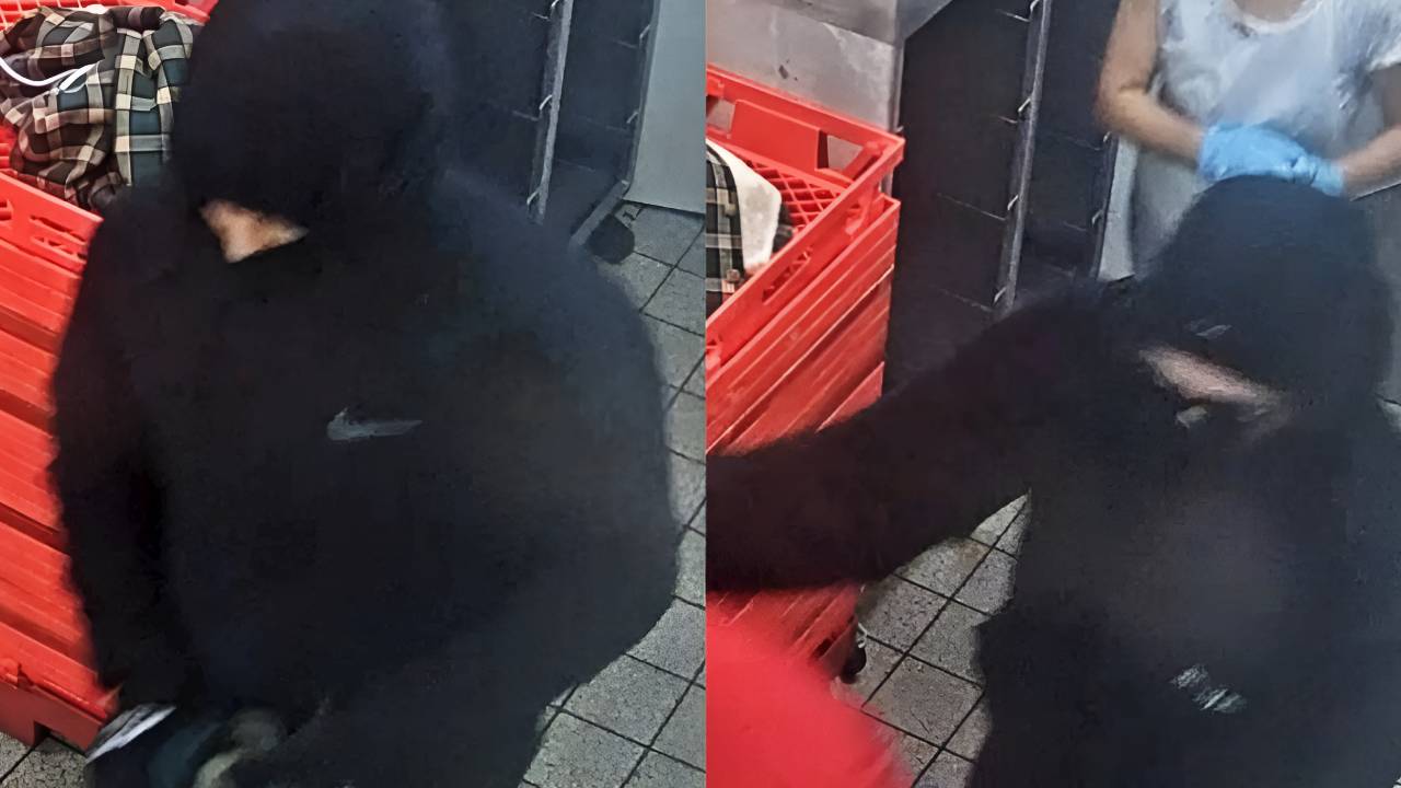 Alman polisi soygunun yeni görüntülerini paylaştı