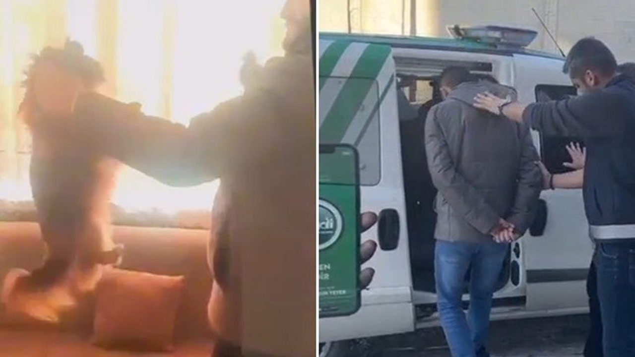 Köpeği çaldı sonra dövdü ve videosunu çekip sahibine gönderdi: Savunması şoke etti