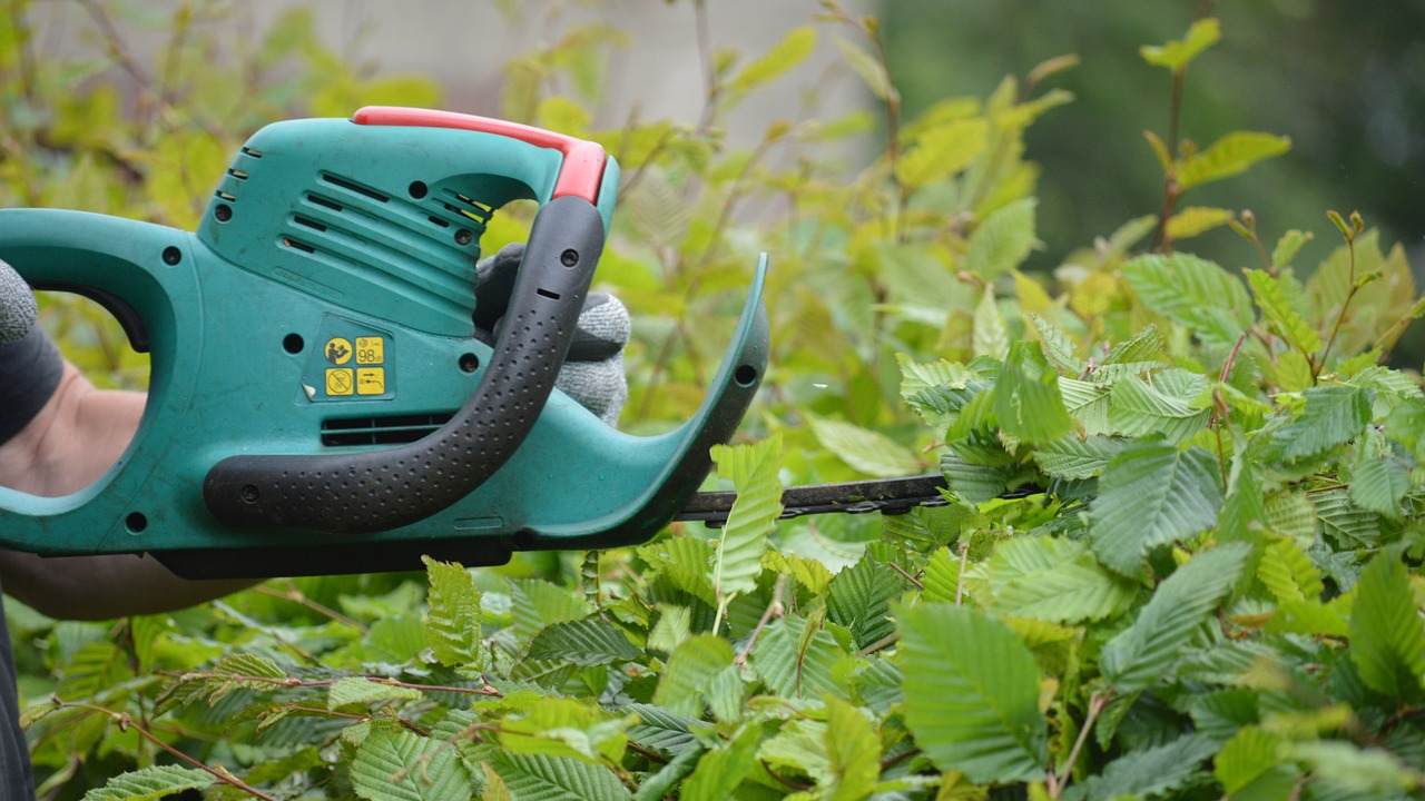 Almanya'da bu ay son... 100 bin Euro'ya kadar para cezası bulunuyor
