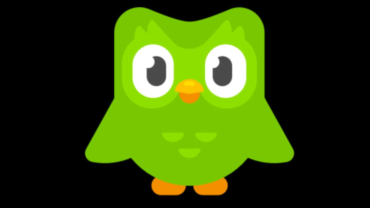 Dil öğrenme programı Duolingo'ya "LGBT" soruşturması!