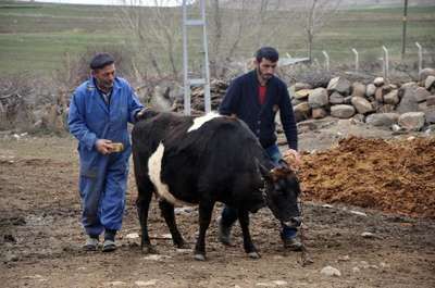 Doğuştan ay-yıldızlı