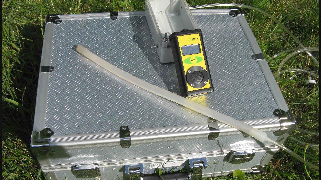 Evlerin tehlikeli misafiri: Felce yol açıyor!