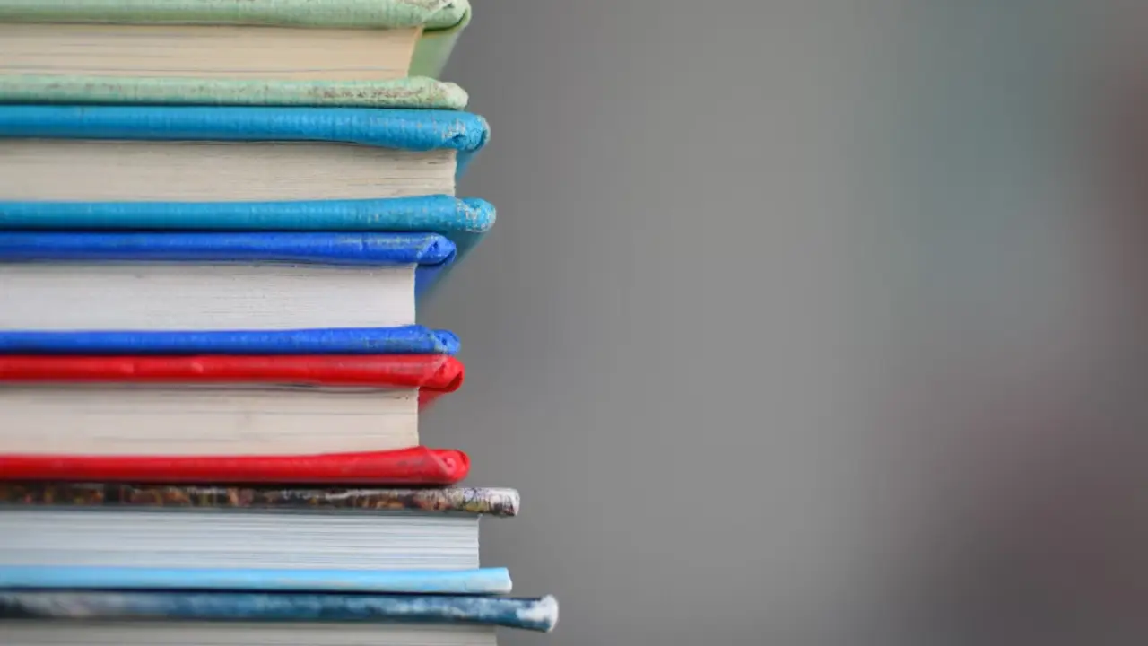 Almanya'da kitap mafyasına sert darbe: Milyonlarca Euro dolandıran şebeke çöktü!
