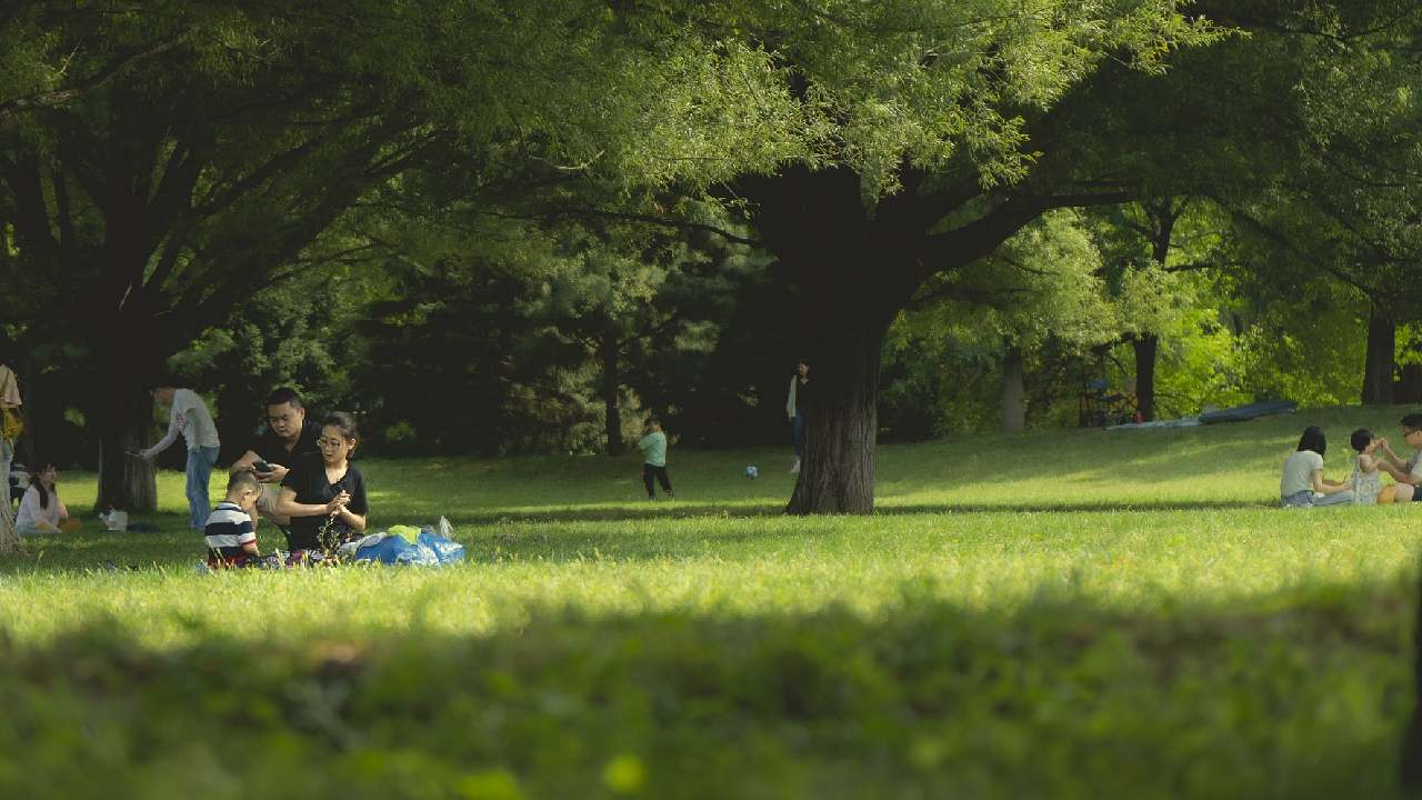 Almanya'da parkta dolaşmaya gitmeden önce bunu bilmelisiniz