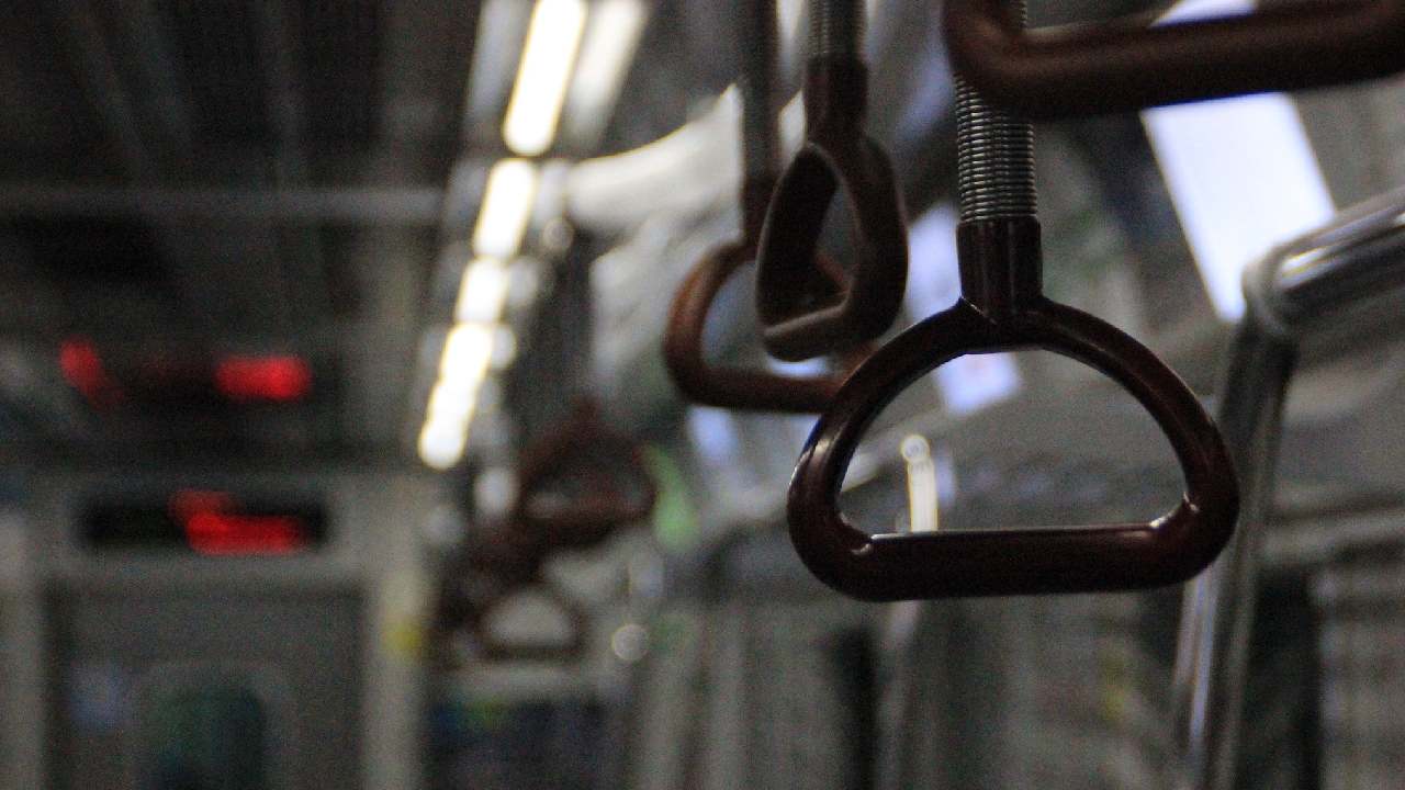 Almanya'da akıl almaz olay: Tren kondüktörünü darp etti, polisi Isırdı