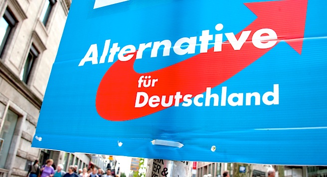 AfD ve Putin taraftarı gençler birleşiyor