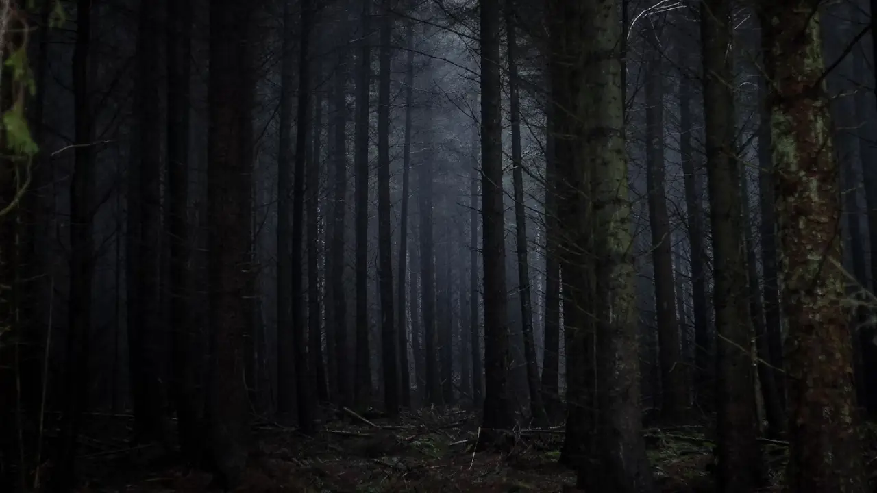 Alman yönetmen ormanda ölü bulundu