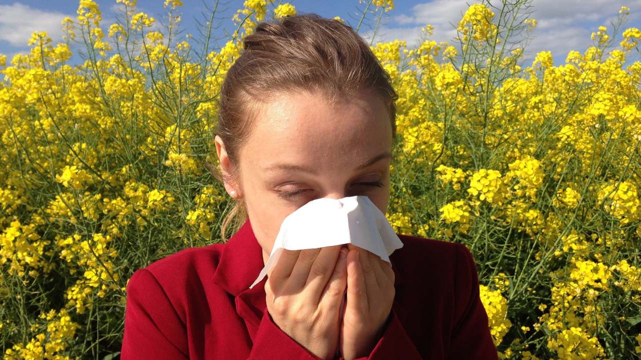 Polen alerjisinden korunmak için bunları yapmalısınız...