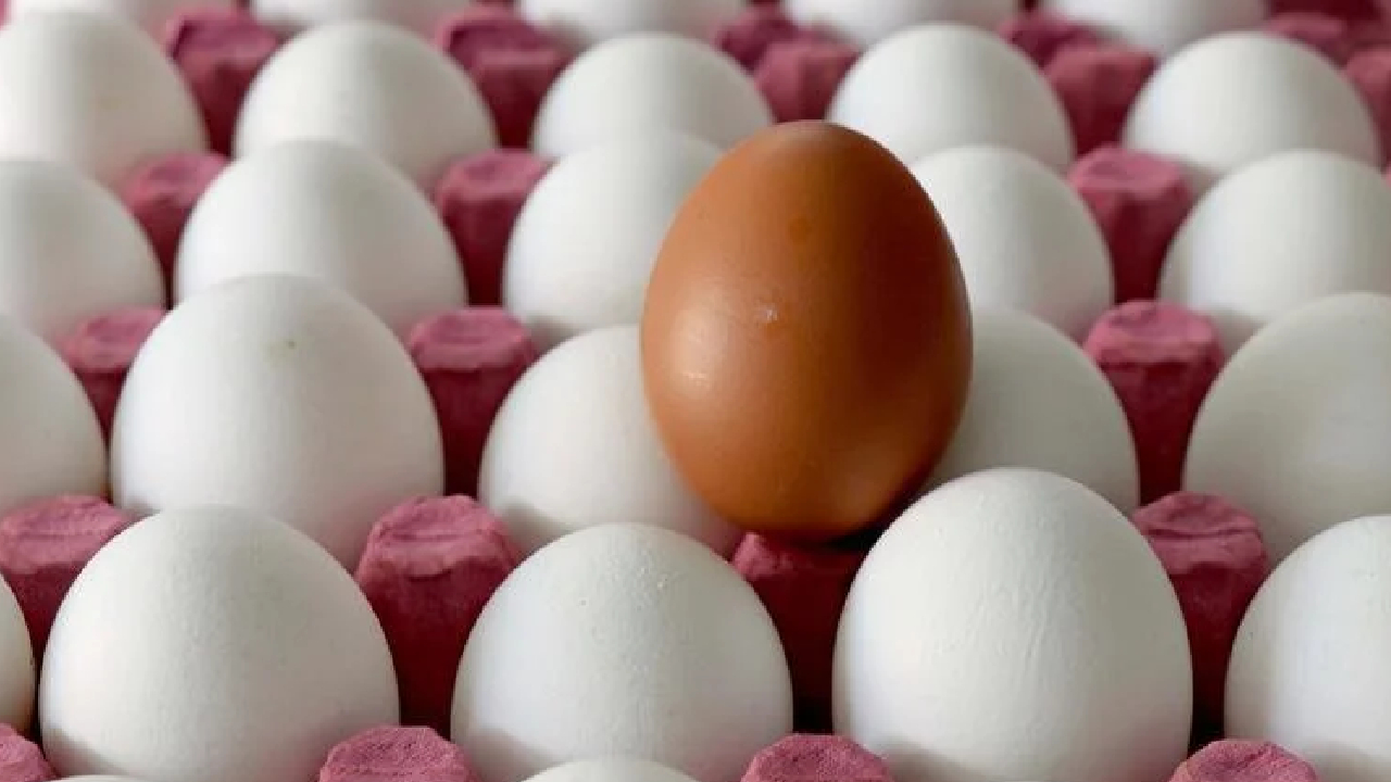 Kahverengi yumurta Almanya'da tarih olabilir