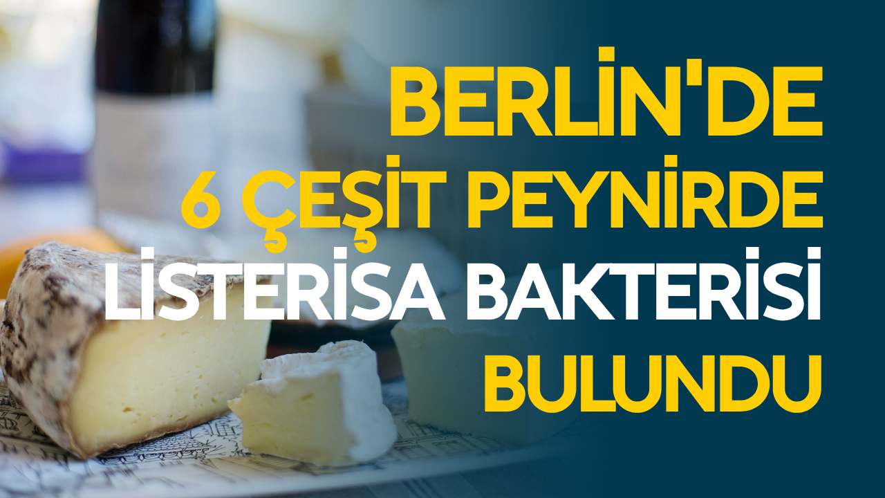 Berlin'de 6 çeşit peynirde listeria bakterisi bulundu