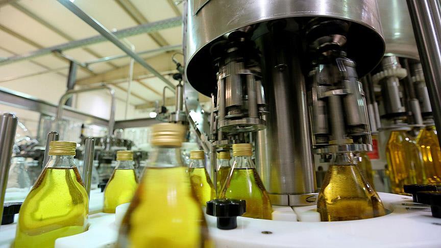Türk zeytinyağı Japonya'da tanıtıldı