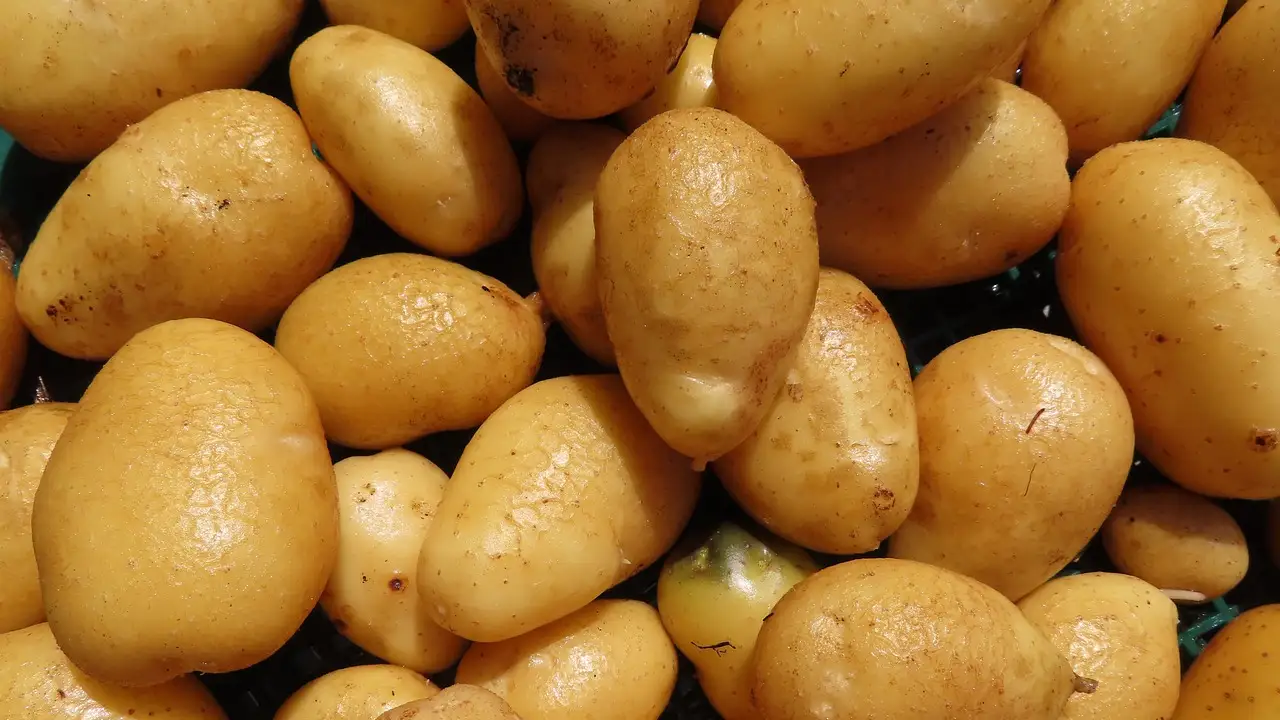 REWE ve Penny'deki patatesler geri toplatılıyor: Pestisit kalıntısı