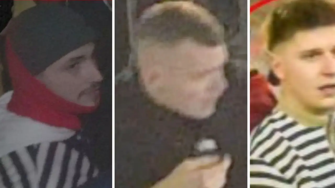 Alman polisi bu üç holiganı arıyor