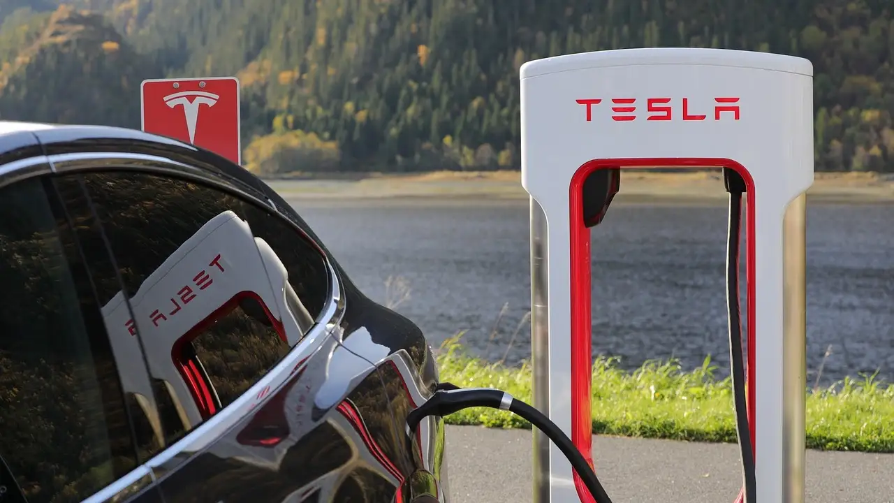 Tesla'nın rakibi iflas etti