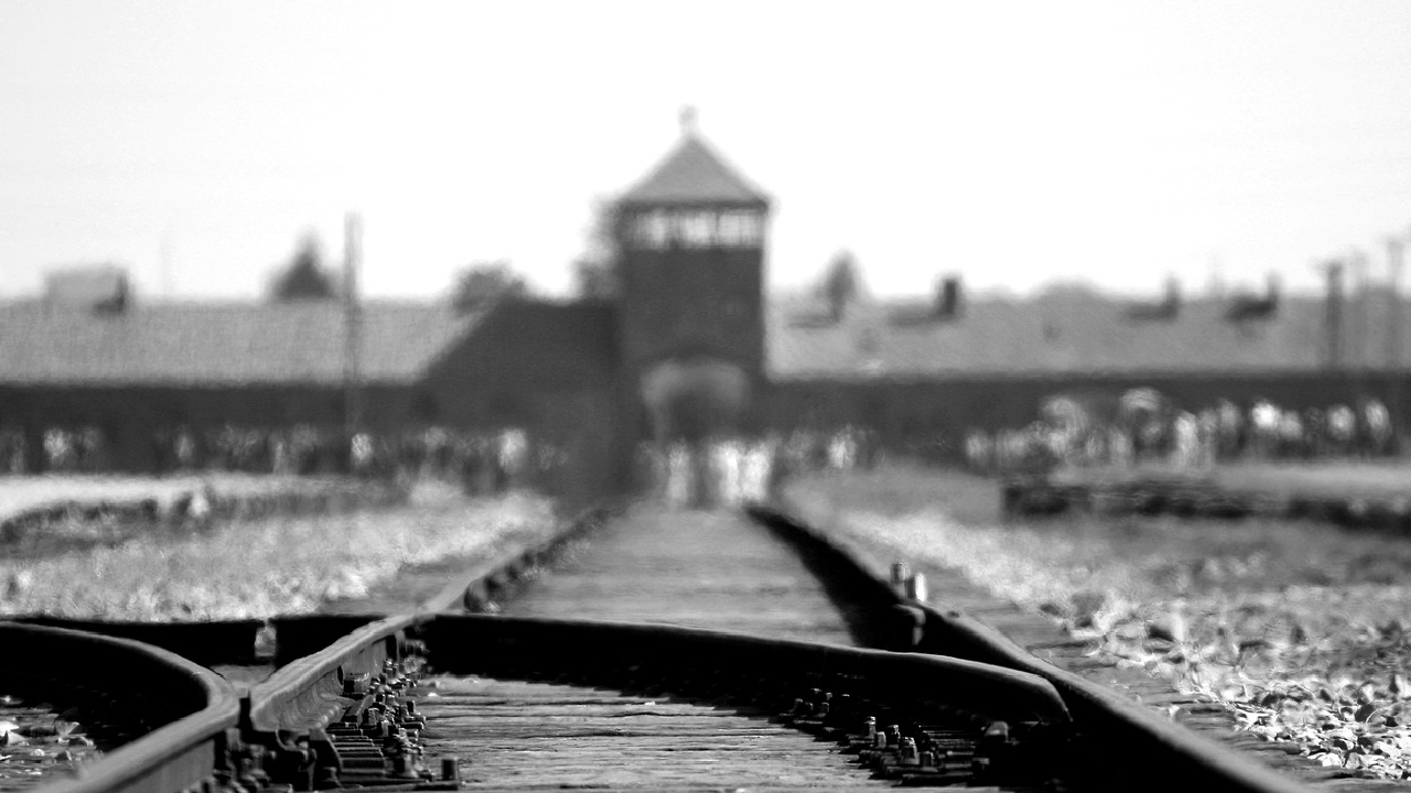 Ders çıkarmaları için Nazi kampına götürülen öğrencilerden skandal hareket
