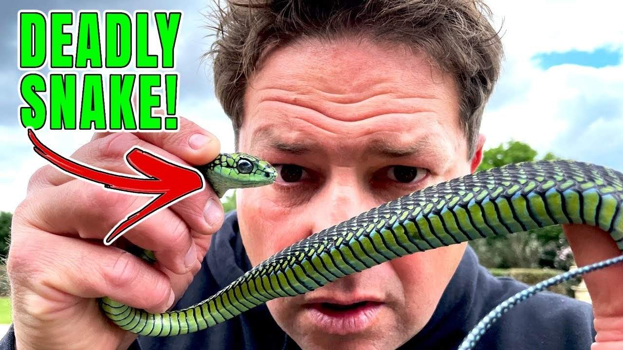 "Güney Afrikalı Steve Irwin" olarak tanınan Dingo Dinkelman’ın trajik ölümü