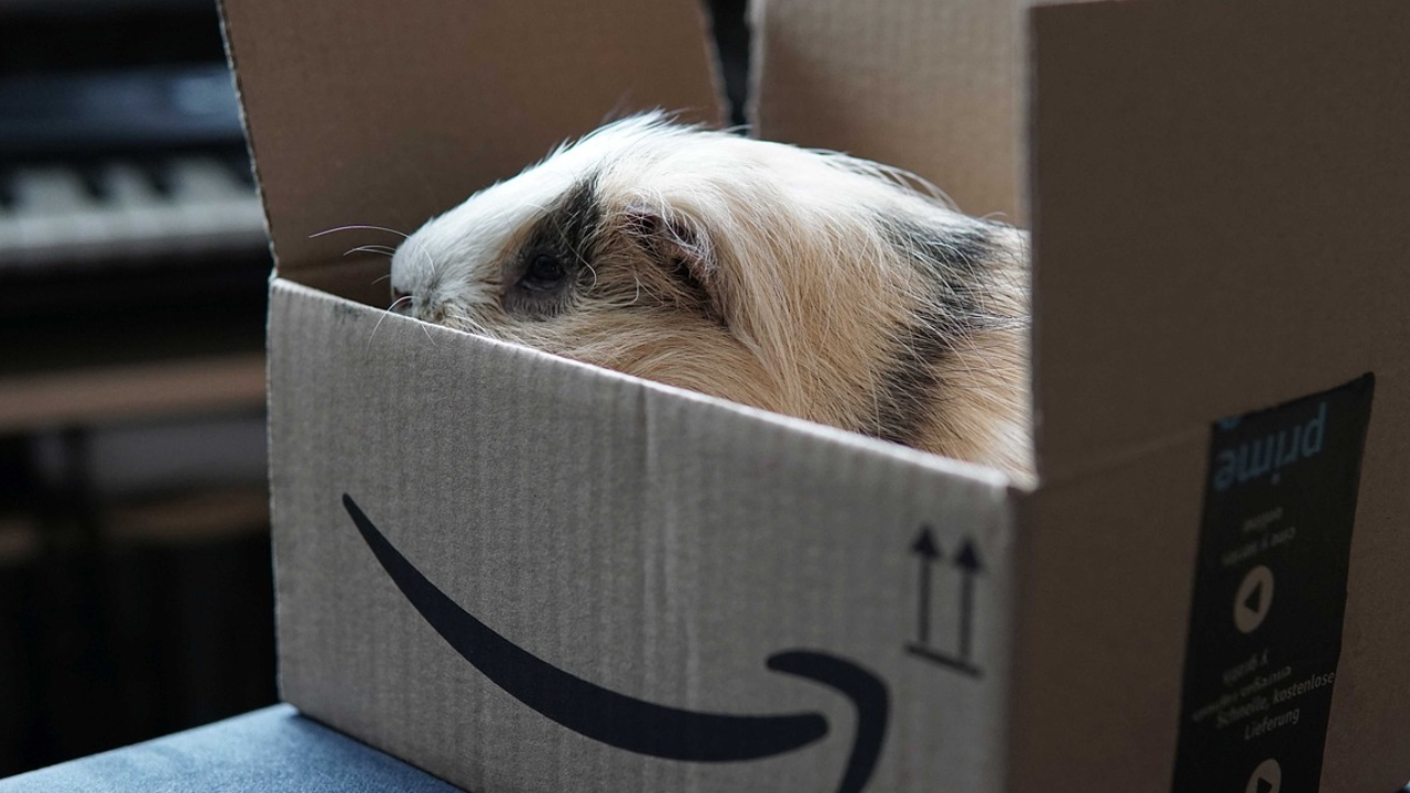 Amazon kutusunun üzerinde kodlar ne anlama geliyor?
