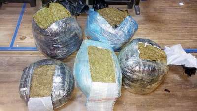 Şanlıurfa’da 65 kilo esrara 4 gözaltı