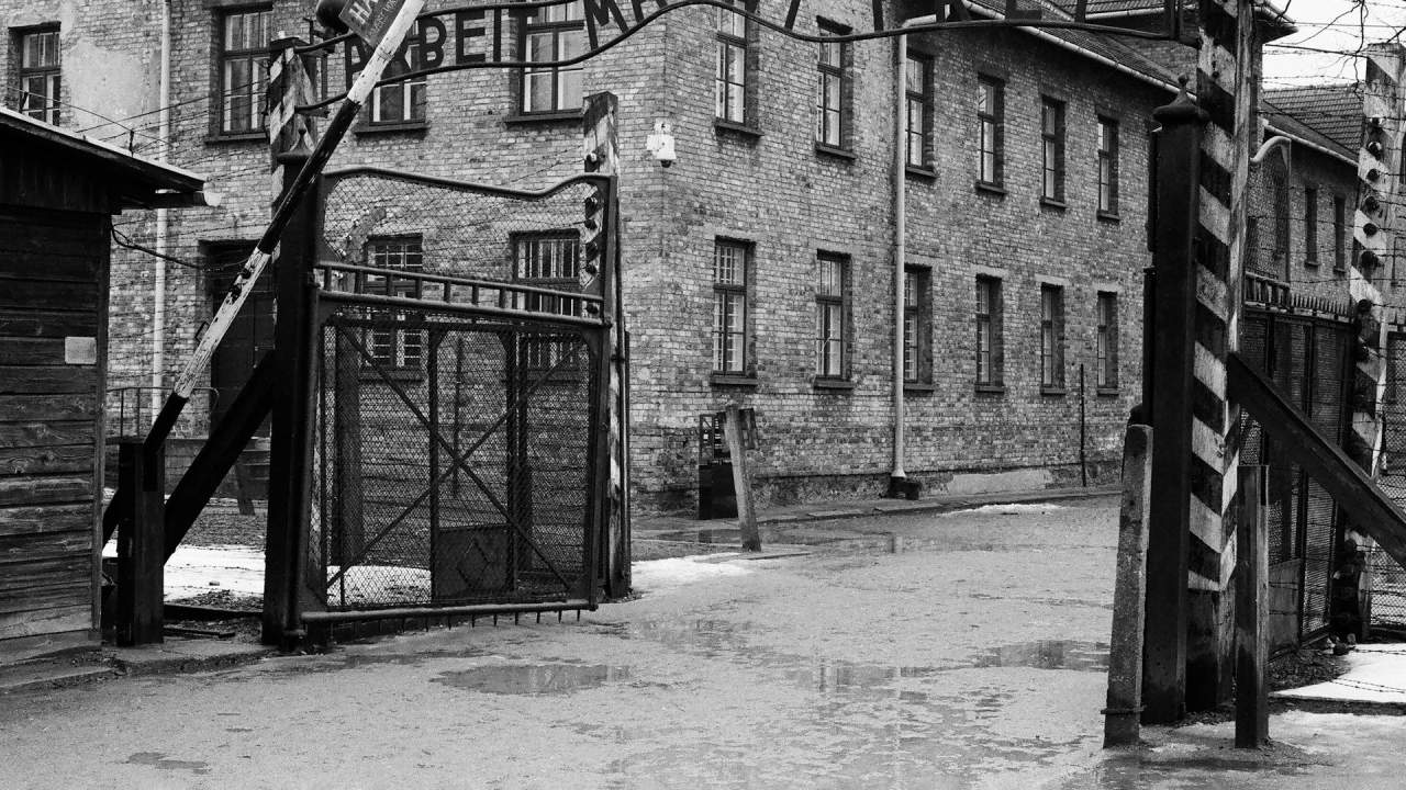 Hollanda'da 425 bin Nazi iş birlikçisinin adı açıklandı