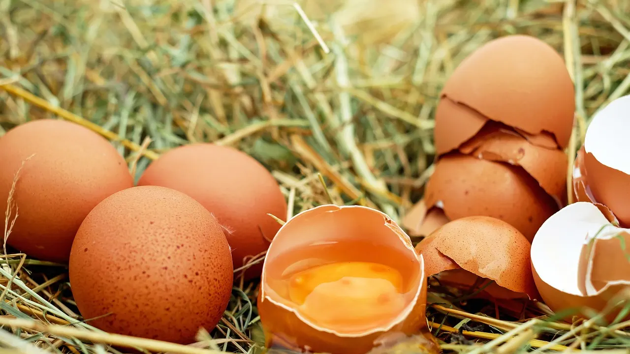 Kahverengi yumurta artık Alman marketlerinden olmayacak
