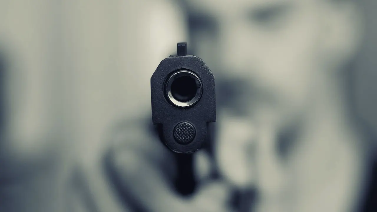 Baden-Württemberg'de polis silahlı bir kişiyi vurdu