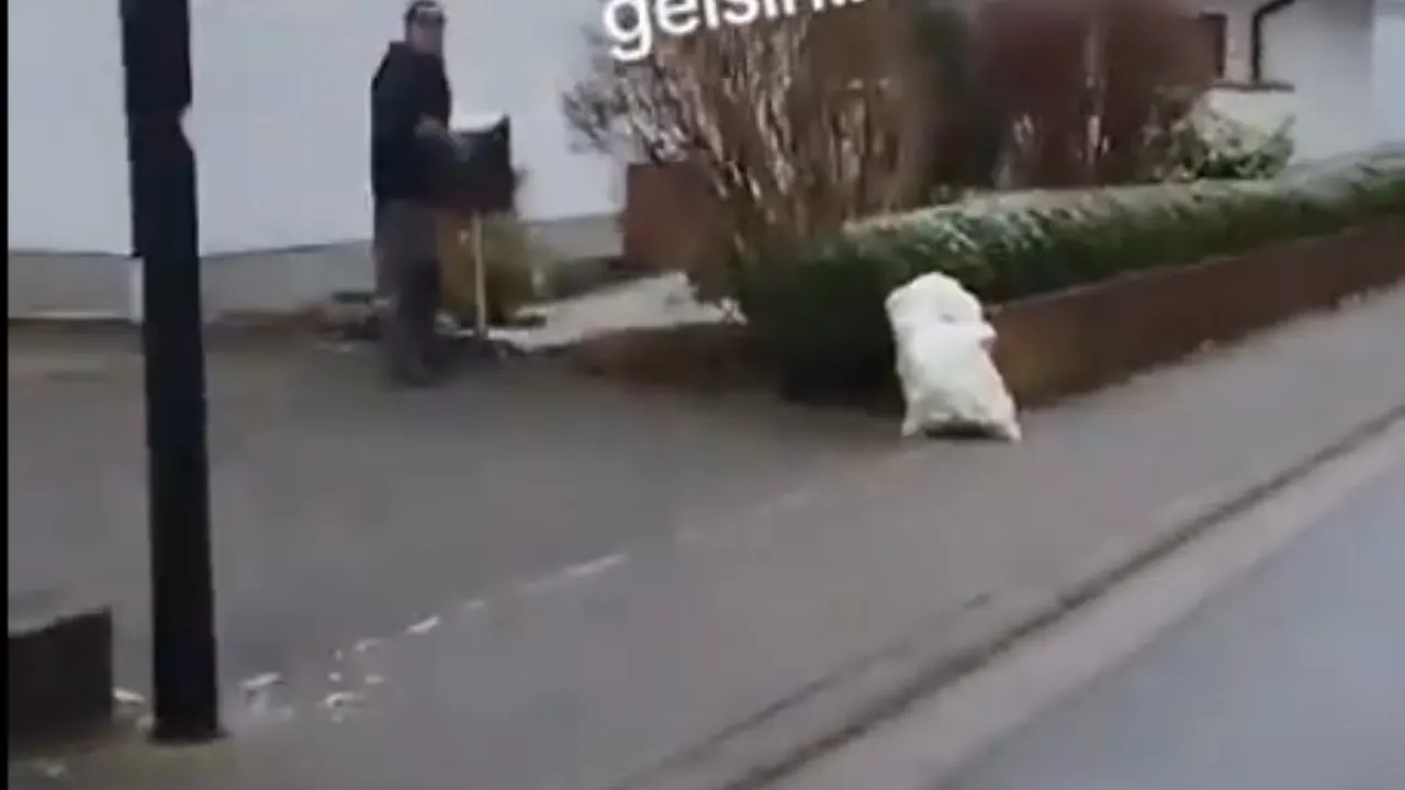 "Utanıyor musunuz acaba?"