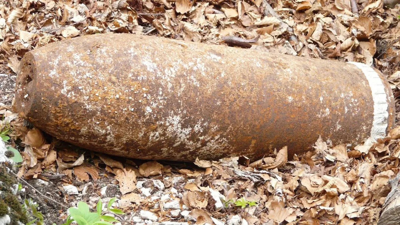Brandenburg'da ABD yapımı 500 kiloluk bomba etkisiz hale getirildi