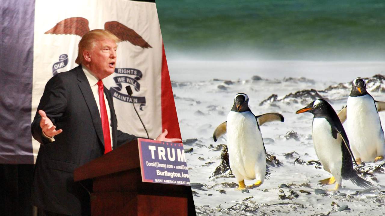 Trump’tan penguenlere vergi: Hiç kimsenin yaşamadığı adaya ithalat vergisi!