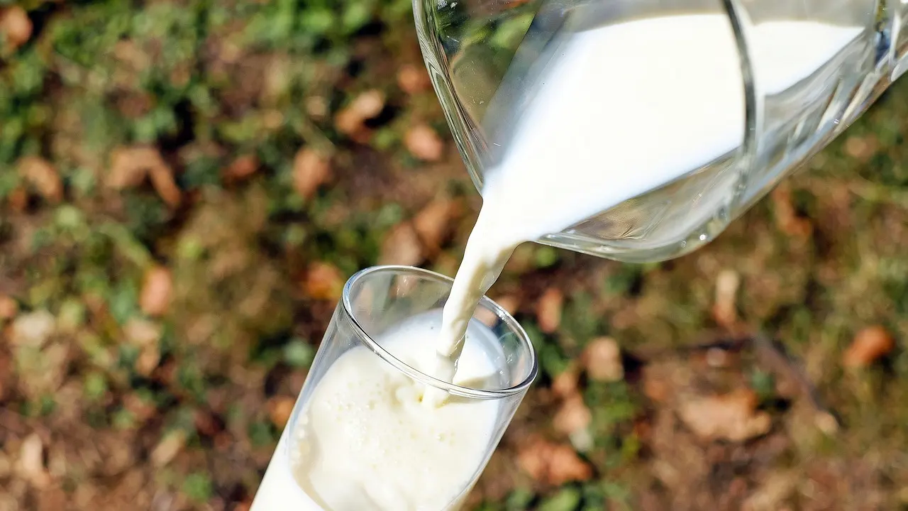 Bölge halkı şaşkın... Danone Bavyera'daki fabrikasını kapatıyor