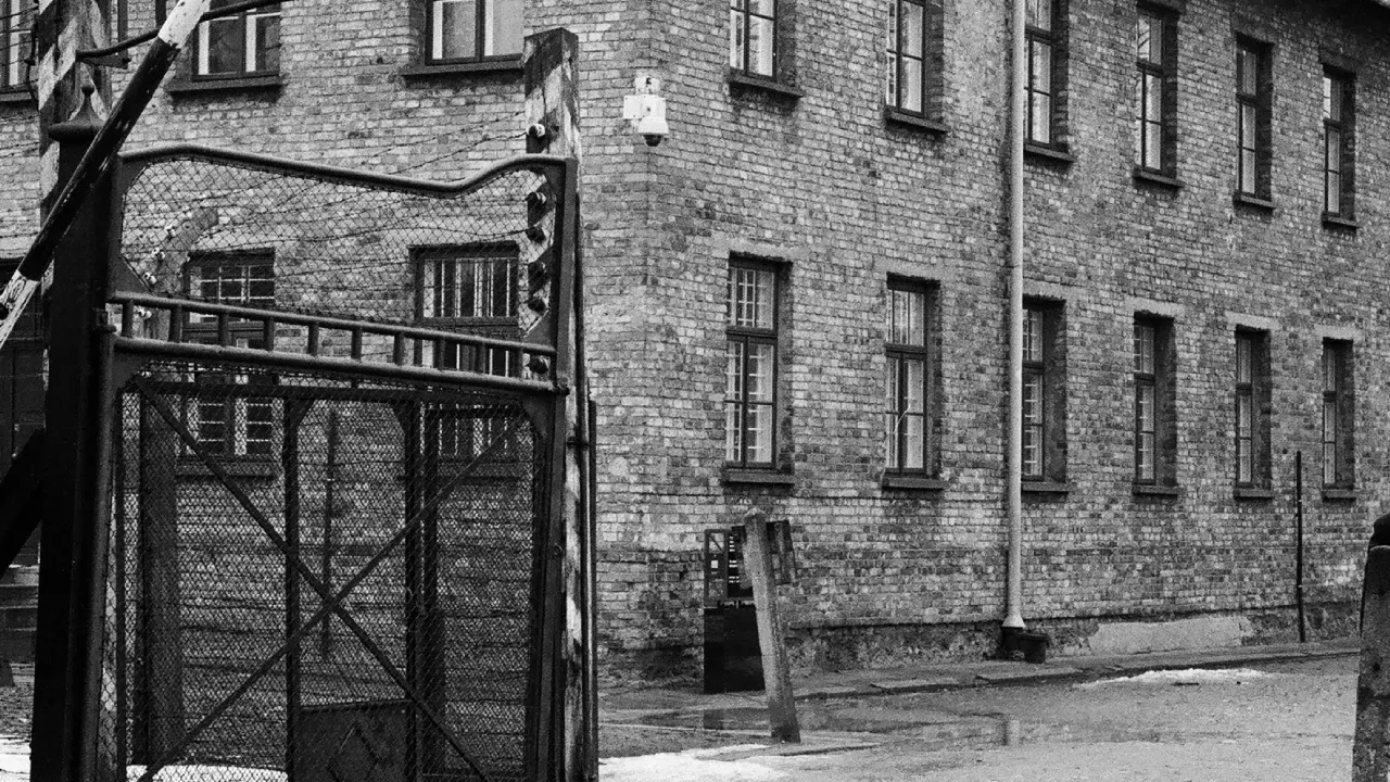 Yargılanan eski Nazi toplama kampı gardiyanı öldü