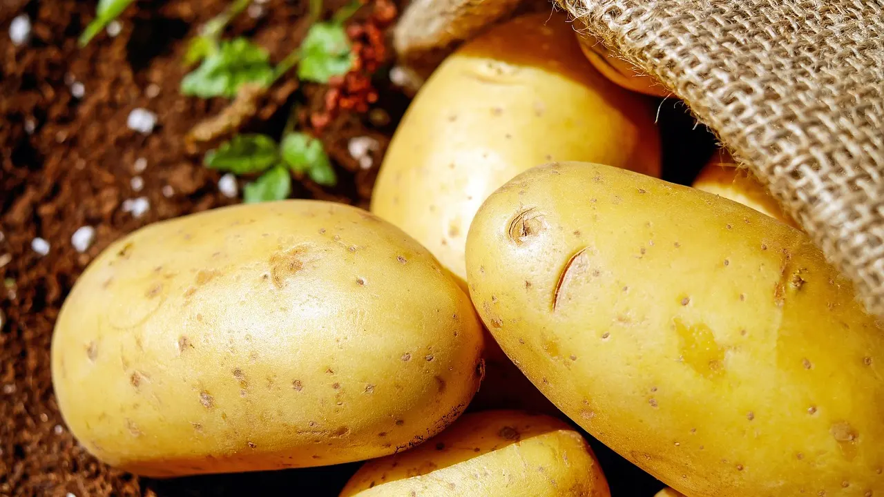 Arkasında ne var? Almanya'da patates fiyatları uçtu