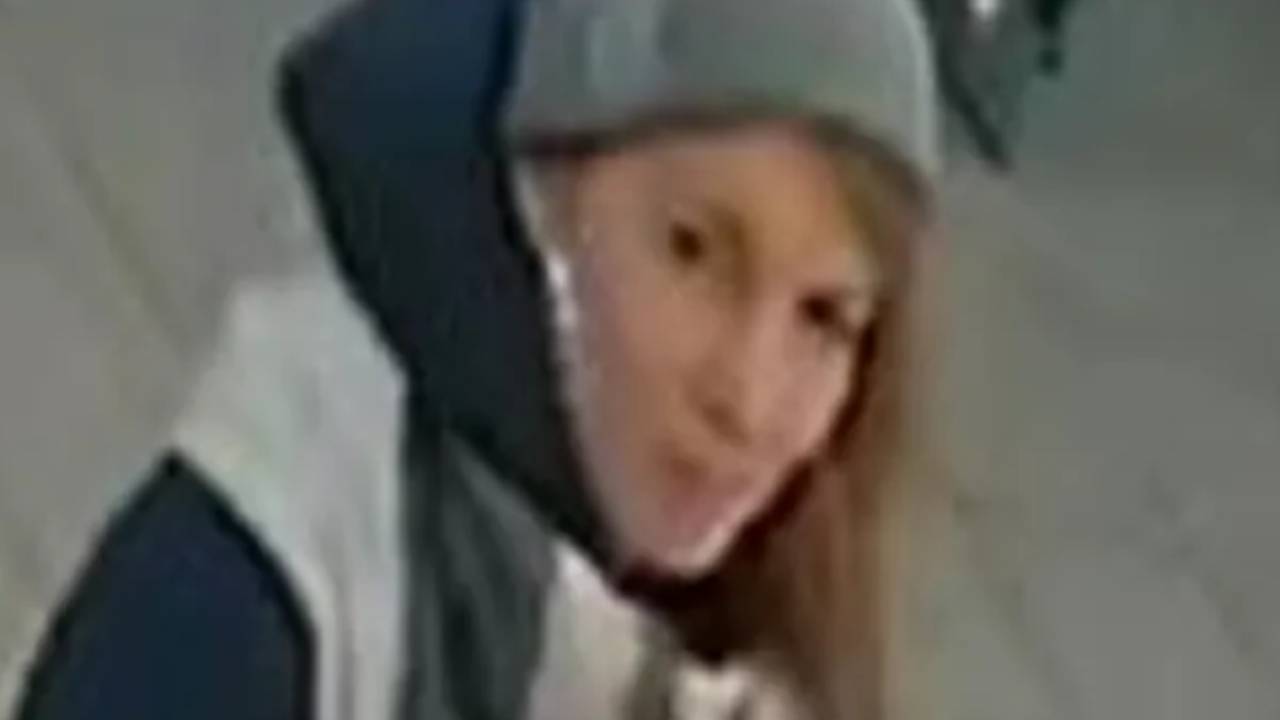 Almanya'da polis DHL paketini sahte kimlik kartıyla çalan kadını arıyor