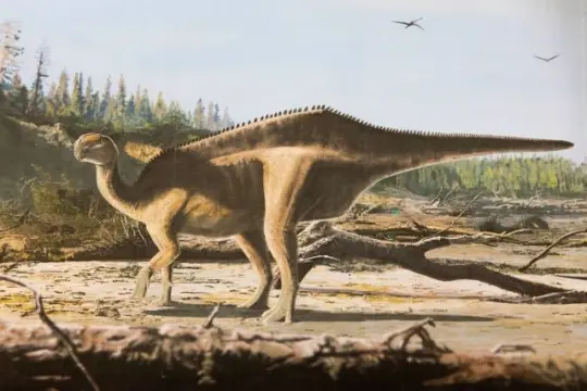 Sırtında yelken taşıyan dev dinozor türü keşfedildi